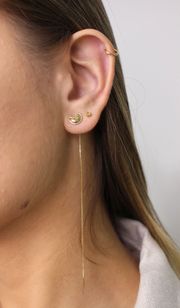 Moon Line Earrings