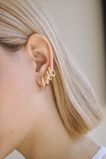 Camille Earparty